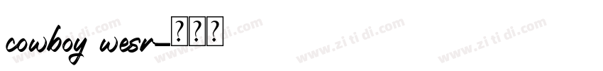 cowboy wesr字体转换